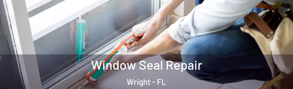 Window Seal Repair Wright - FL
